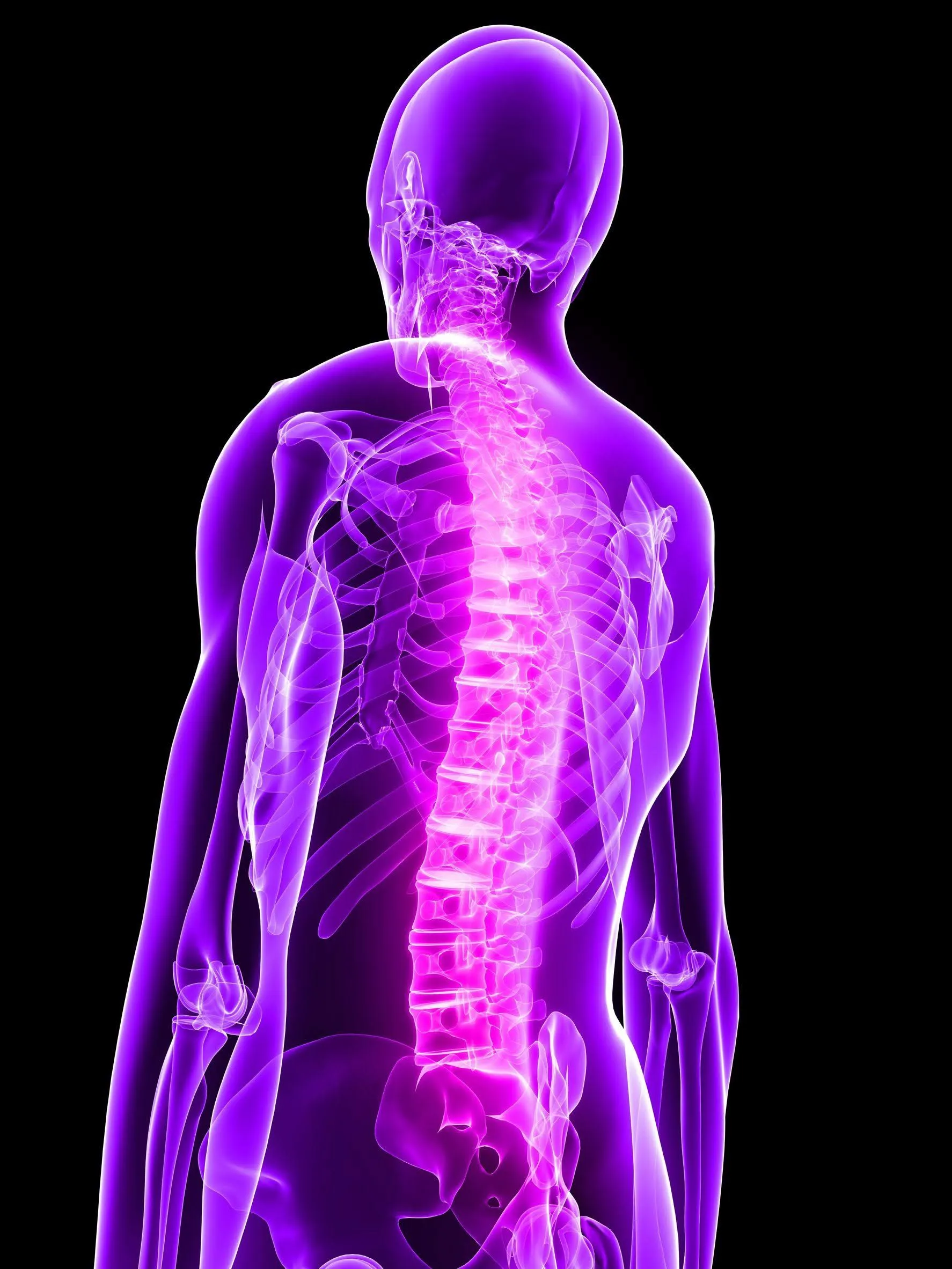 A 3D medical illustration highlighting a human spine.