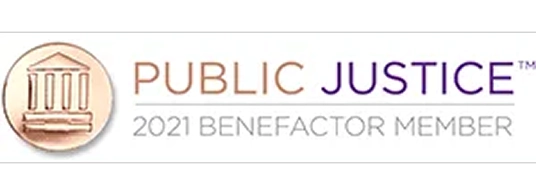 Public Justice 2021 Benefactor Member