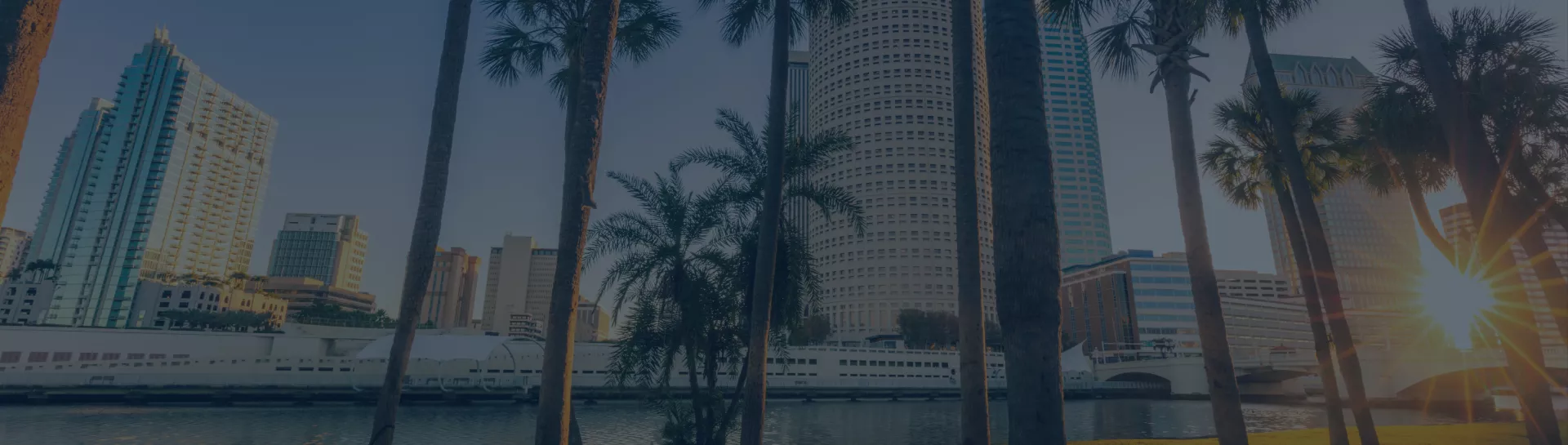 Downtown cityscape with modern high-rise buildings, palm trees in the foreground, and sunlight shining through.
