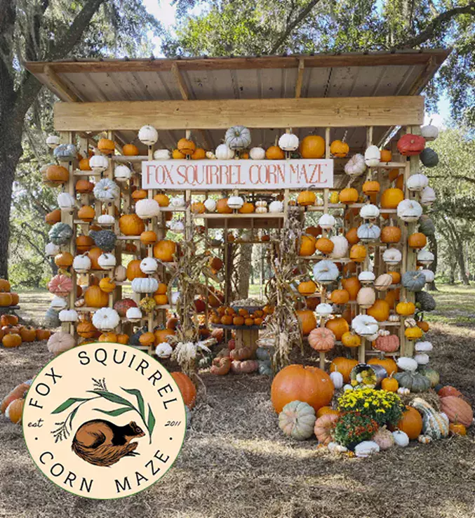 Fox Squirrel Corn Maze Sábados y domingos, del 27 de septiembre al 26 de octubre, de 10:00 a 17:00.